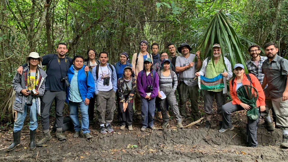 curso de refugios ecologa y conservacin de murcilagos neotropicales