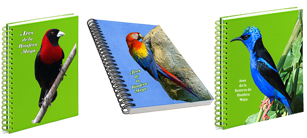 Cuadernos con imagenes de aves de la Biosfera Maya