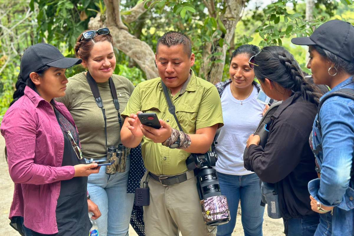 Proyecto investigacion estudiantil