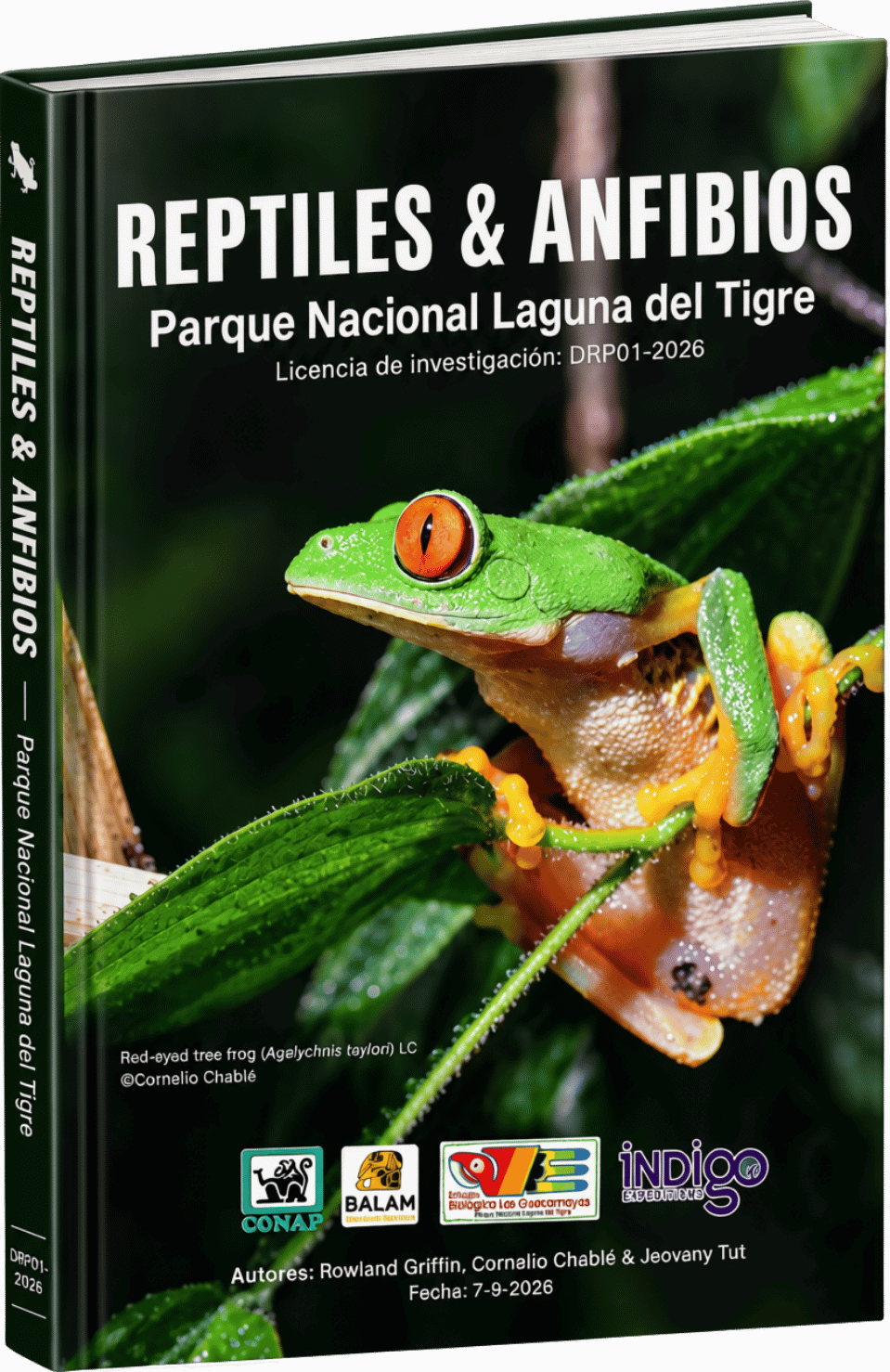 Herpetofauna del Parque Nacional Laguna del Tigre